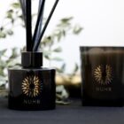 Oud Arabia Luxury Reed Diffuser (130ml - 4 months) - Image 3